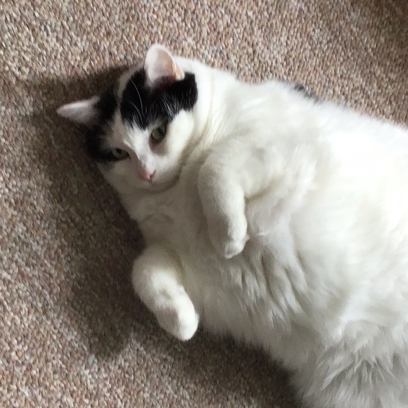 Kelly 💞💞 - Picture 7 of 9